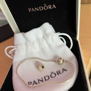 Pandora Essence Collection Snake Chain Bracelet and Charm